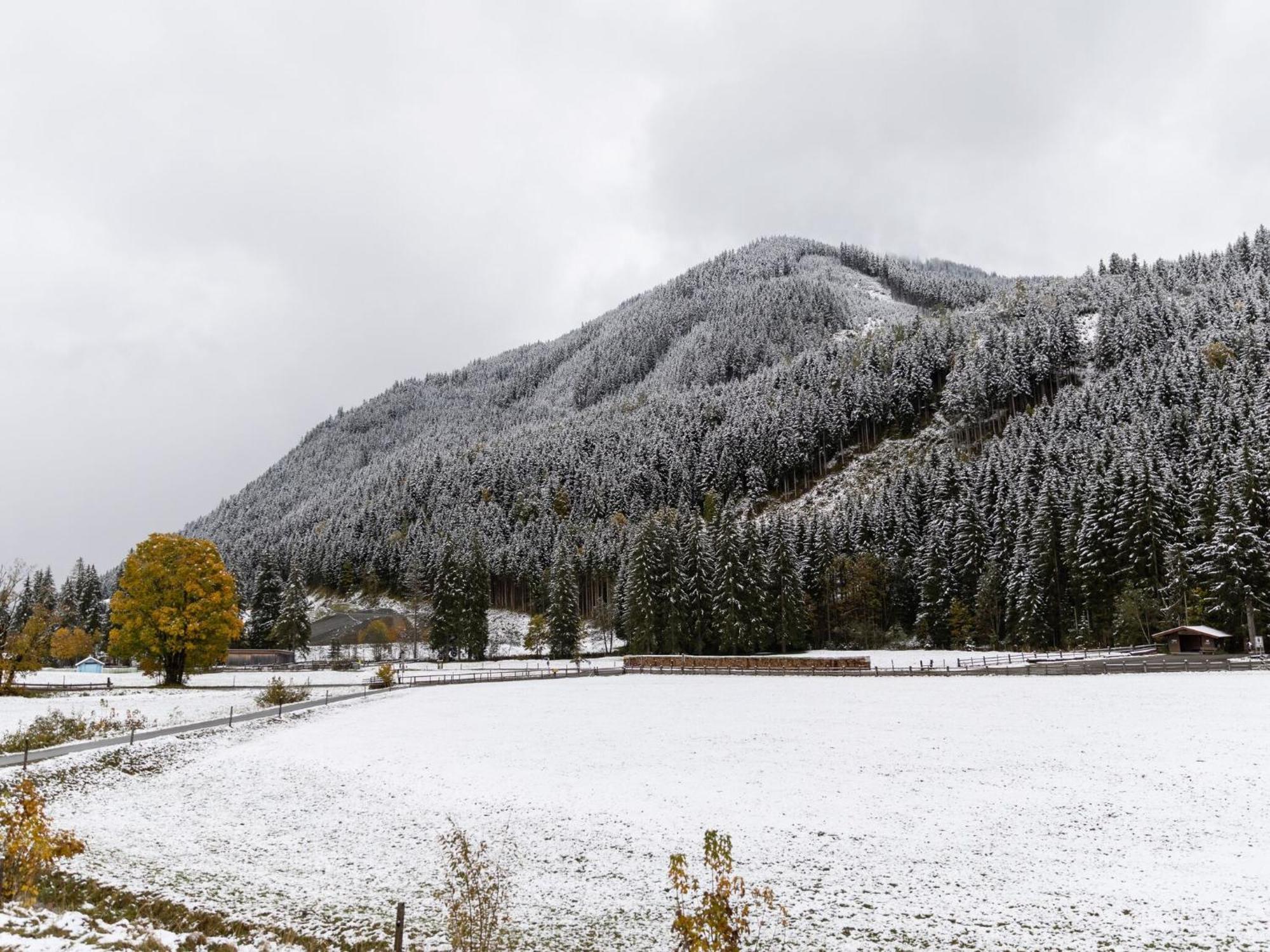 Chalé In Hinterglemm