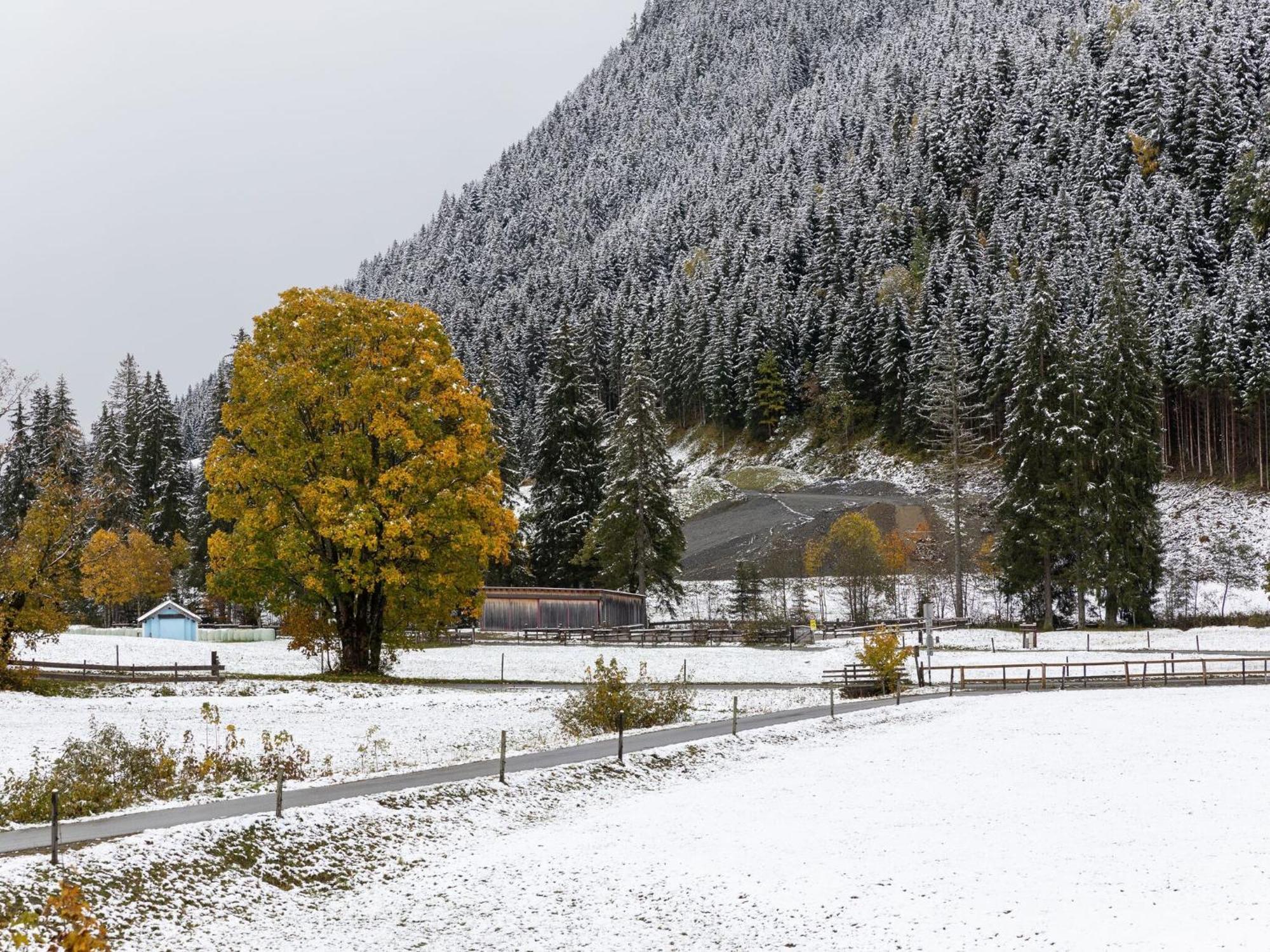 Chalé In Hinterglemm Saalbach-Hinterglemm