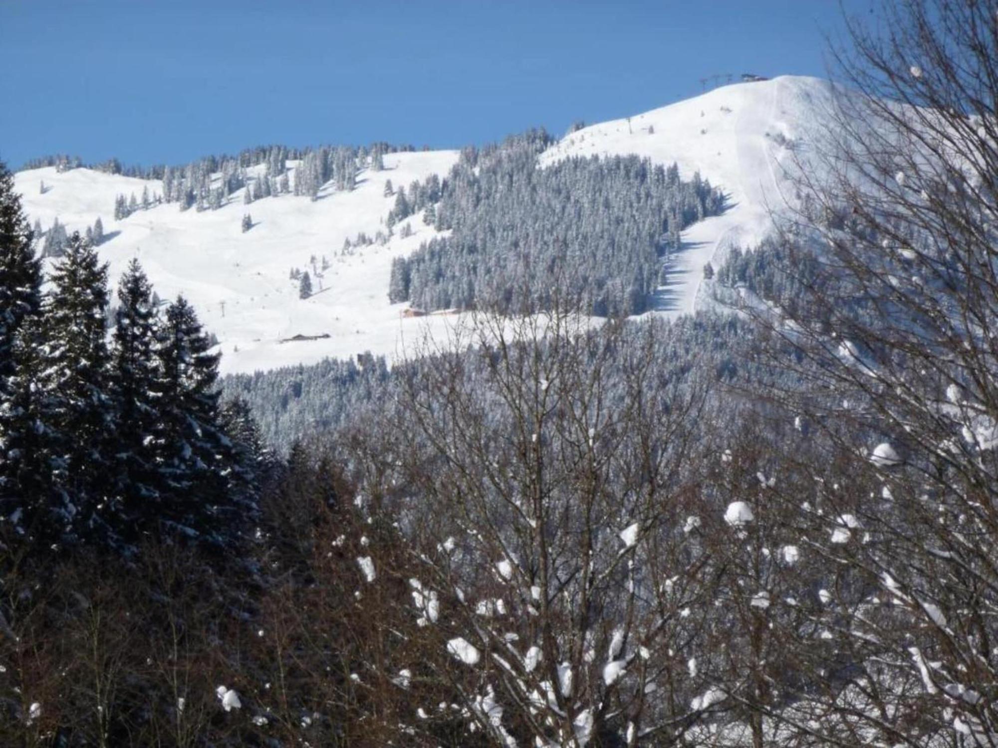 In Hinterglemm Chalé *